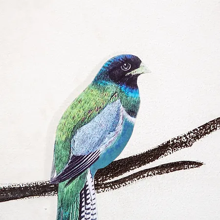 Palazzo Conti & Hotel 3*