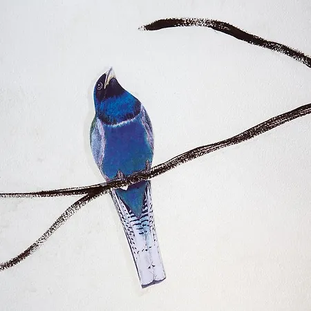 Hotel Palazzo Conti &